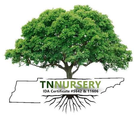 Tennessee Wholesale Nursery