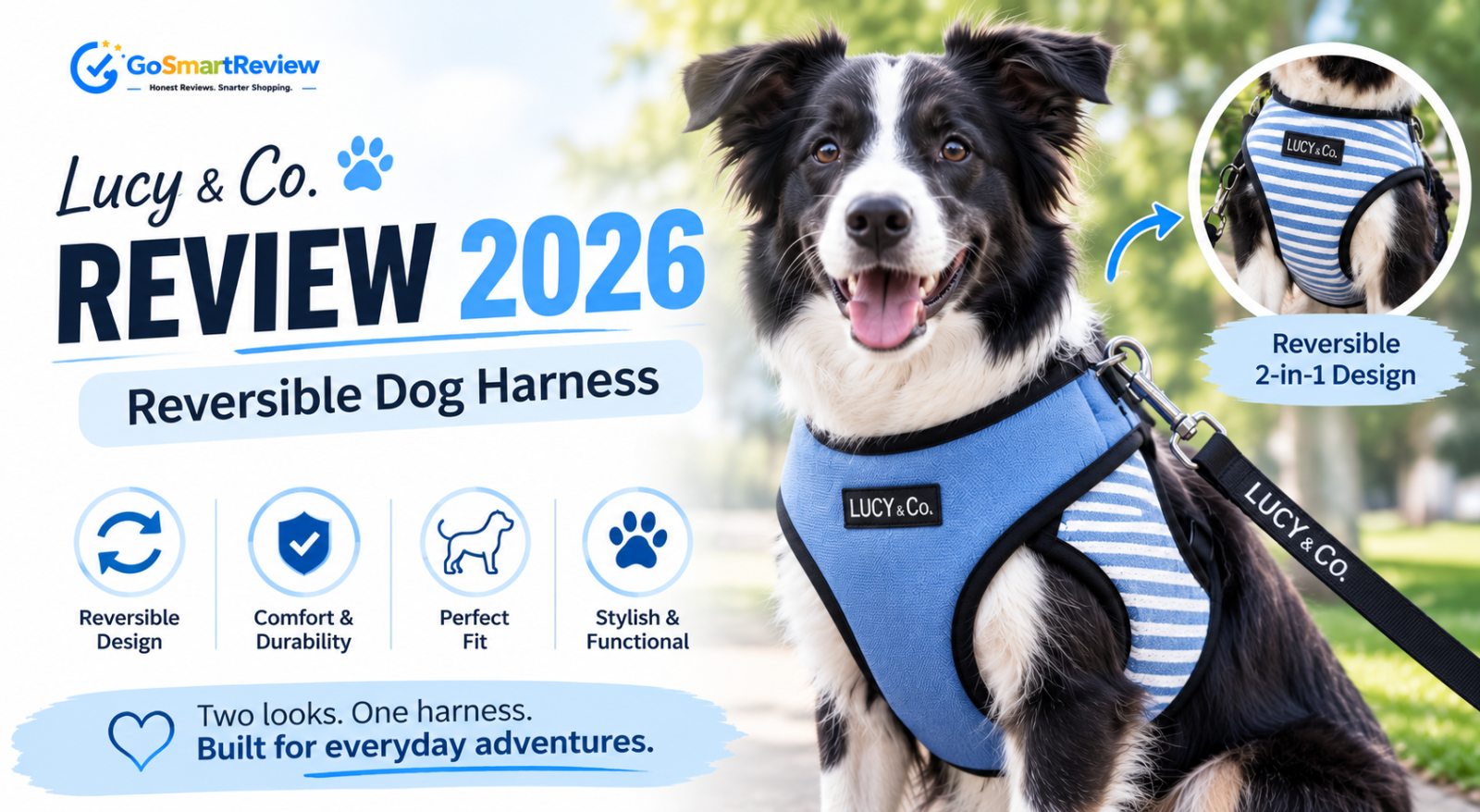 Lucy & Co Review 2026: Are These Reversible Dog Harnesses Worth It?